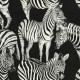 Papel pintado Dolce & Gabbana nº 1 TCW007TCAHOUZ011