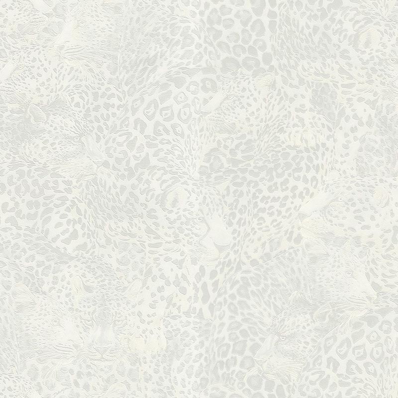 Papel pintado Dolce & Gabbana nº 1 TCW007TCAHOUL041