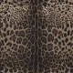 Papel pintado Dolce & Gabbana nº 1 TCW007TCAI9UL003