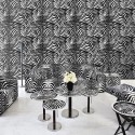 Dolce & Gabbana nº 1 TCW004 TCAI5 UZ003  Mural digital