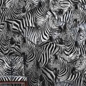 Dolce & Gabbana nº 1 TCW013 TCAI5 UZ011  Mural digital