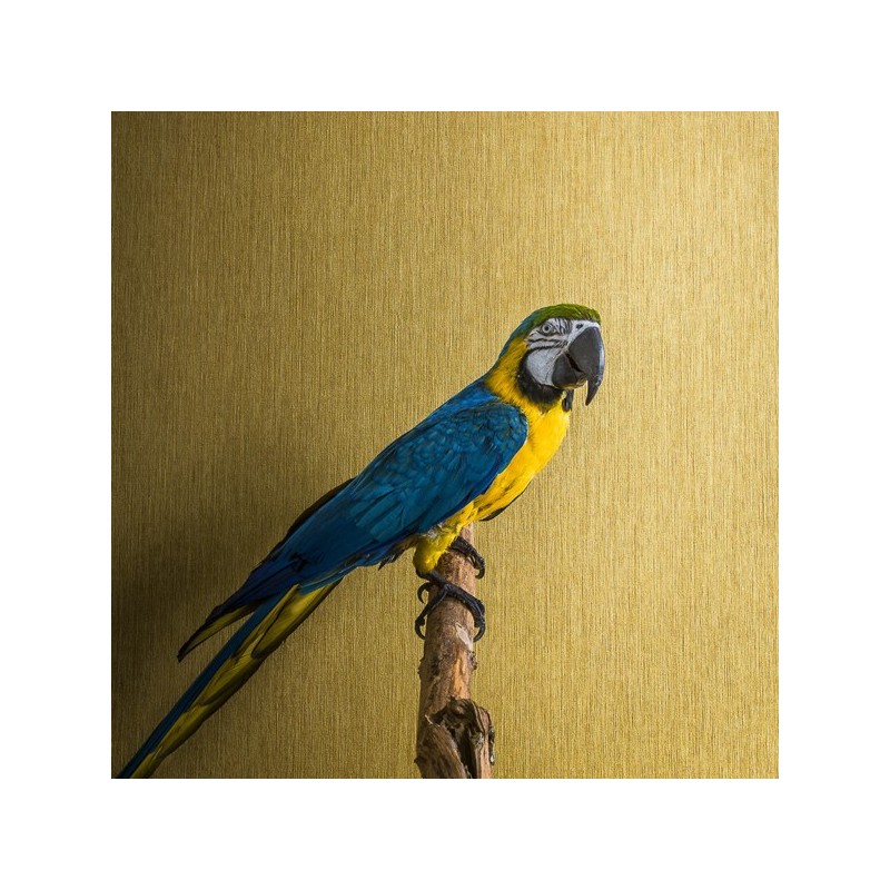 Papel Pintado Casamance Jericó 7349 13 24