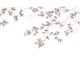 Mural decorativo WonderWalls Calming Leaves WDWS89134107