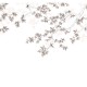Mural decorativo WonderWalls Calming Leaves WDWS89134107
