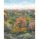 Mural decorativo WonderWalls Indian Summer WDWS88973705