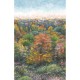 Mural decorativo WonderWalls Indian Summer WDWS88973705