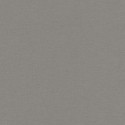 Papel Pintado Liso 448627 Rasch