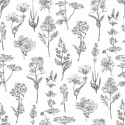Amazonia II 2972 Papel pintado Kemen