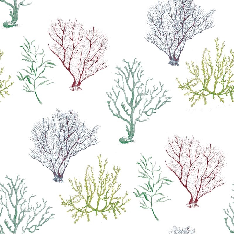 Papel pintado Kemen Amazonia II 2976