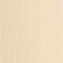 Papercraft Kraft PAPC 8965 12 21 Papel pintado