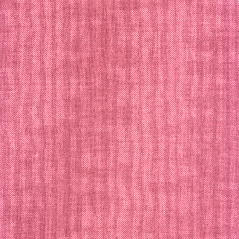Papel pintado Caselio Wild Uni Mat WILD104994003