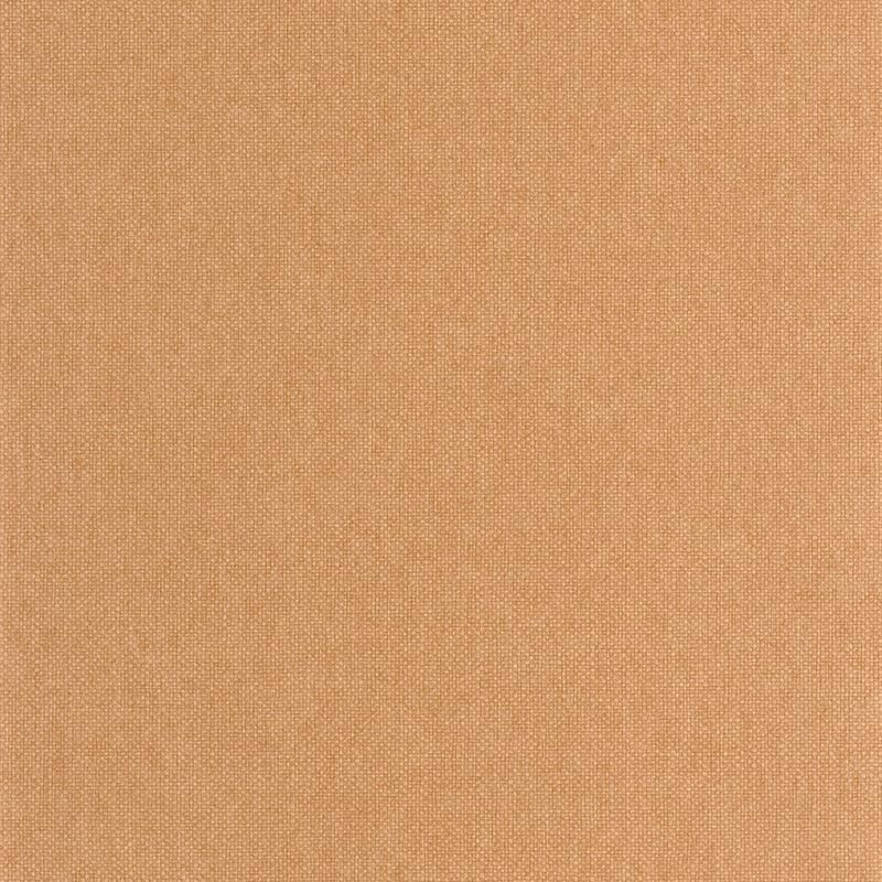 Papel pintado Caselio Wild Uni Mat WILD104992328