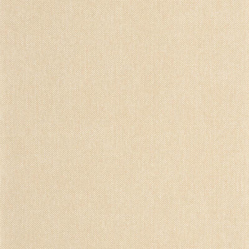 Papel pintado Caselio Wild Uni Mat WILD104991300
