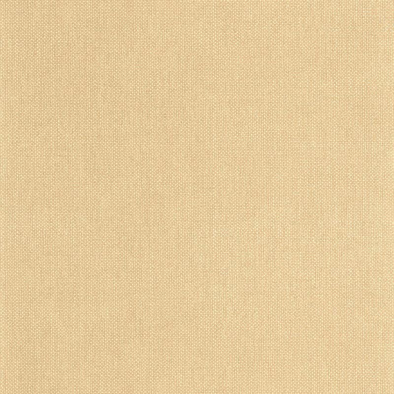 Papel pintado Caselio Damier Uni Mat  DAI104992010