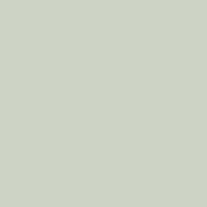 Papel pintado Iberostil Reflect Plain RE25106