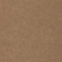 Ceramique Uni Métallisé CER 10525 20 40 Papel pintado Caselio