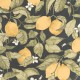 Papel pintado Casadeco Soliflore Lemon Tree SOLI200272727