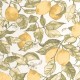 Papel pintado Casadeco Soliflore Lemon Tree SOLI200277227