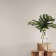 Natural Digest Papel pintado York ND3044N