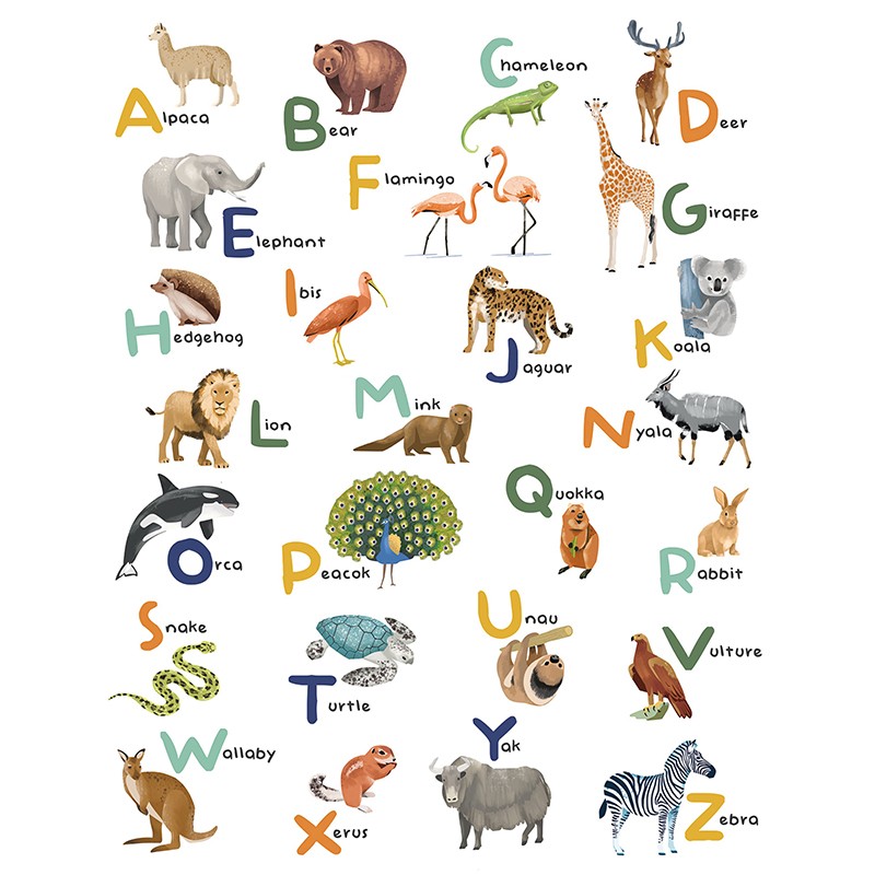 Mural Caselio Les Minis Mondes Let's Learn the Alphabet MNM105857005