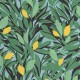 Papel pintado Azur AZU105457720