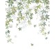 Mural Casadeco Wonderwalls 2 Vigne en Fleur WDWD200067205
