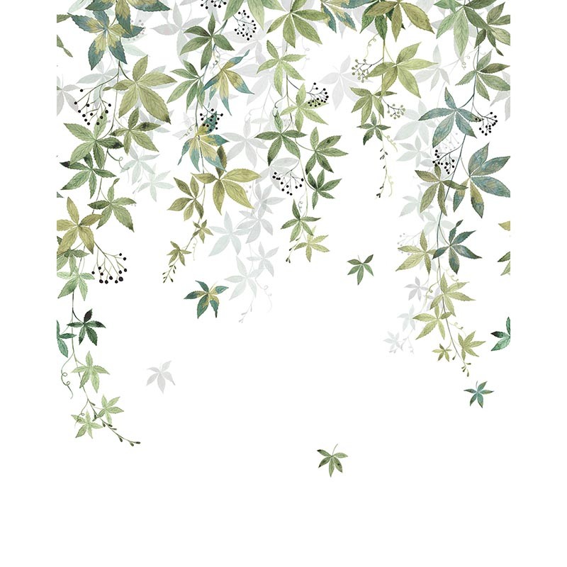 Mural Casadeco Wonderwalls 2 Vigne en Fleur WDWD200067205