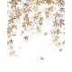 Mural Casadeco Wonderwalls 2 Vigne en Fleur WDWD200062305