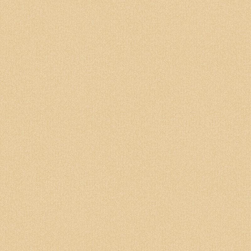 Color Box 3 Papel Caselio CB3102231127