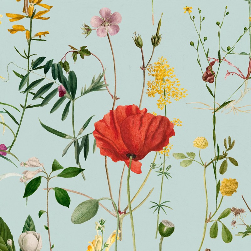 Mural Wallapaper Premium WP20174