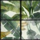 Mural Wallapaper Premium WP20176
