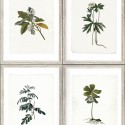 Premium Wallapaper WP20153 Mural MindTheGap