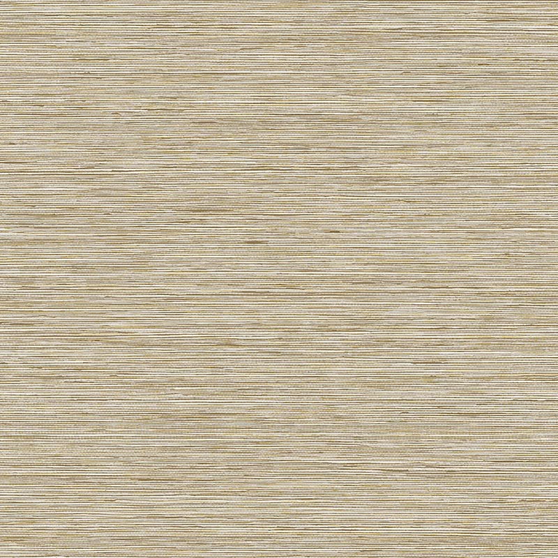 Papel pintado Wallquest del Catálogo Savannah Grass LS60405