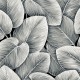 Papel pintado Wallquest del Catálogo Savannah Grass LS60300