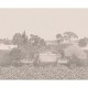 Mural Cole & Son The Gardens Idyll 120/1002