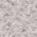 The Gardens Petite Fleur 120/2006 Cole & Son Papel