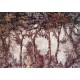 Mural Coordonne Victorian Byron Poem Wine B00373