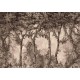 Mural Coordonne Victorian Byron Poem Black B00374