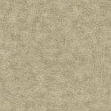 Herbarium 1173-5768 Papel Saint Honoré