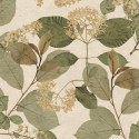 Herbarium 1173-5757 Papel Saint Honoré