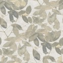 Herbarium 1173-5785 Papel Saint Honoré
