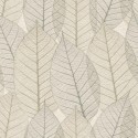 Herbarium 1173-5769 Papel Saint Honoré