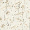 Herbarium 1173-5763 Papel Saint Honoré
