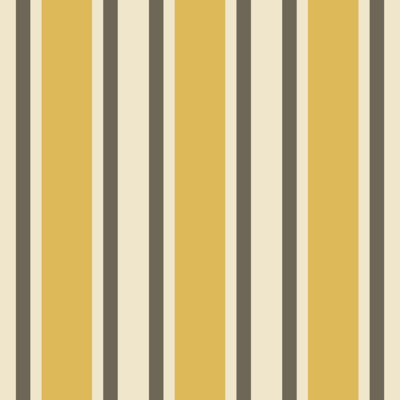 Compendium of Stripes CS.SP.05