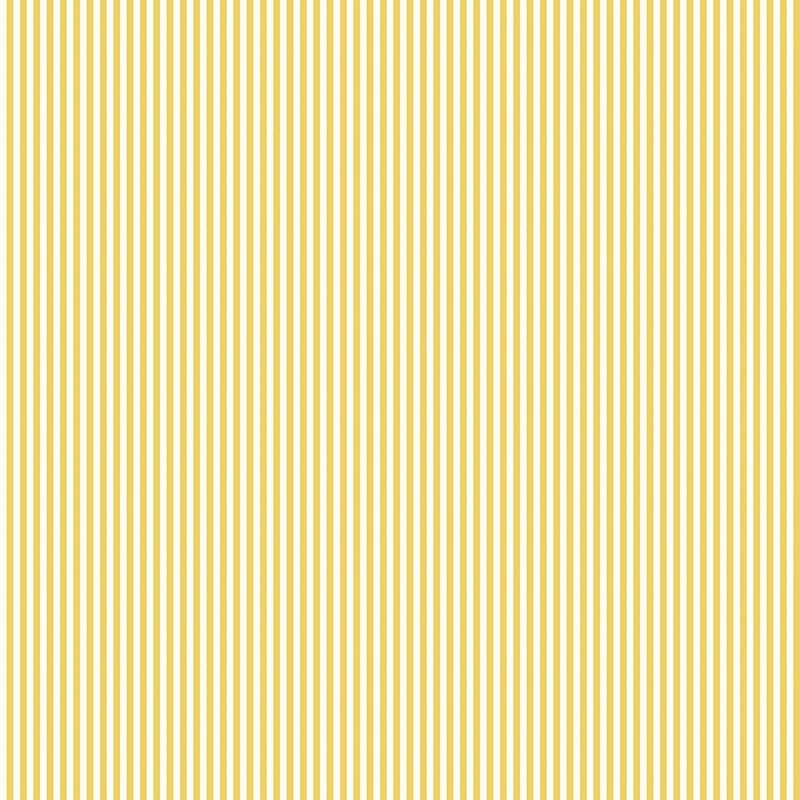 Compendium of Stripes CS.CH.04