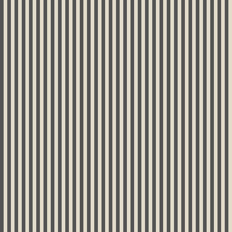 Compendium of Stripes CS.BO.04