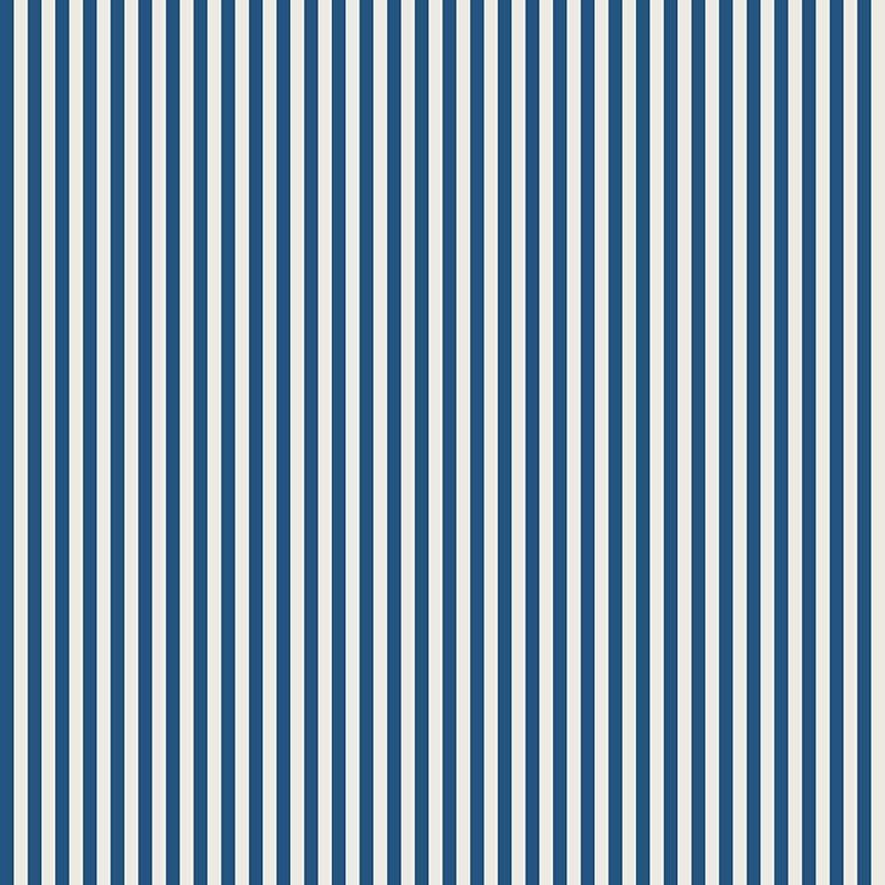 Compendium of Stripes CS.BO.07