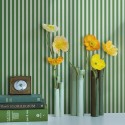 Compendium of Stripes CS.BO.03 Papel
