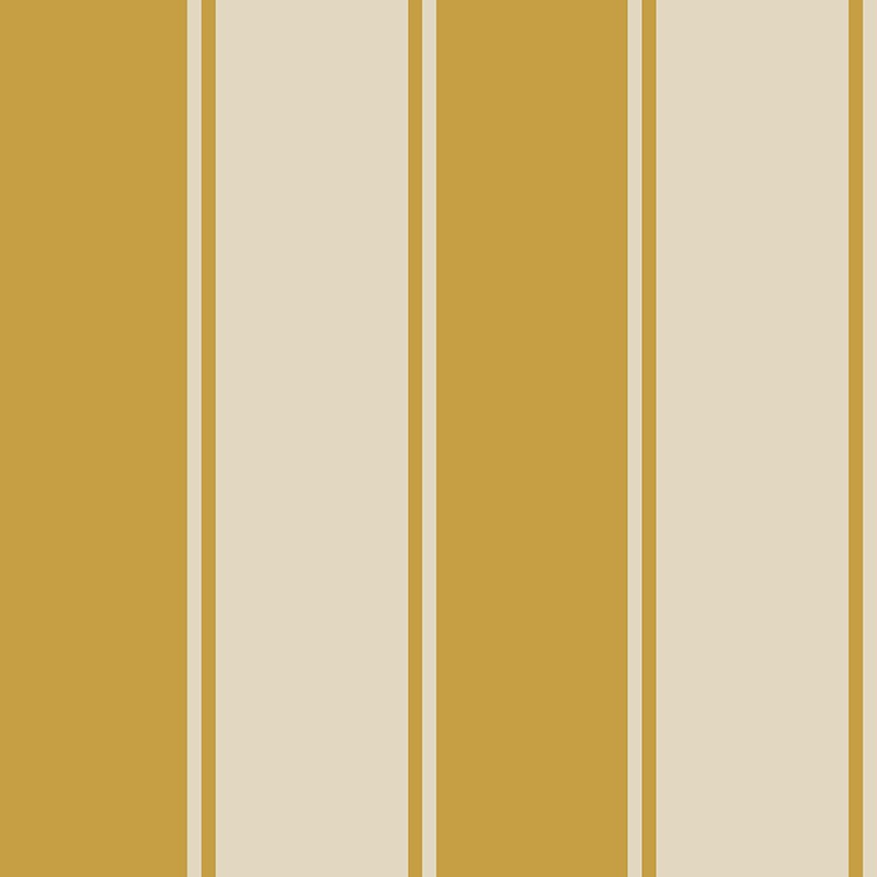 Compendium of Stripes CS.VI.04