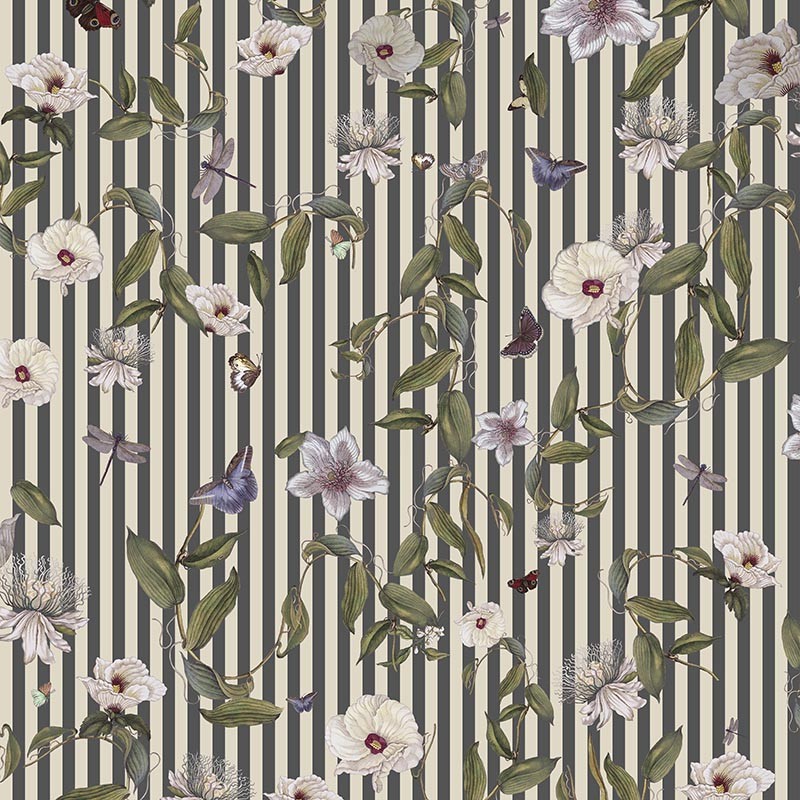 Compendium of Stripes CS.GI.03